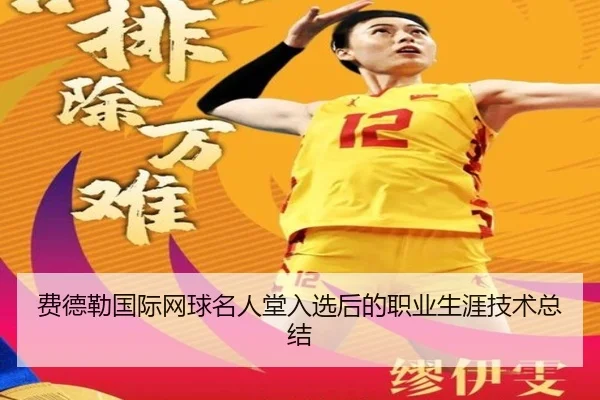 费德勒国际网球名人堂入选后的职业生涯技术总结（bandao）